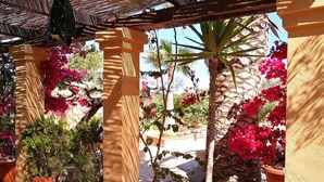 Un espace extérieur abrité, agrémenté de plantes en pot et d’une structure en forme de pergola.