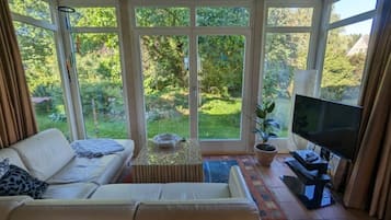 TV, DVD player, books, video library