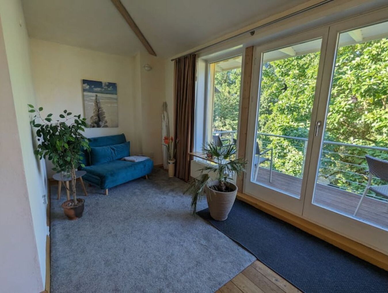 Fernseher, DVD-Player, Bücher, Videothek