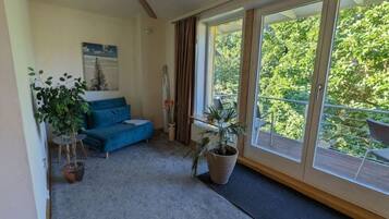 Fernseher, DVD-Player, Bücher, Videothek