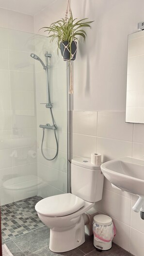 Haartrockner, Handtücher, Seife, Shampoo