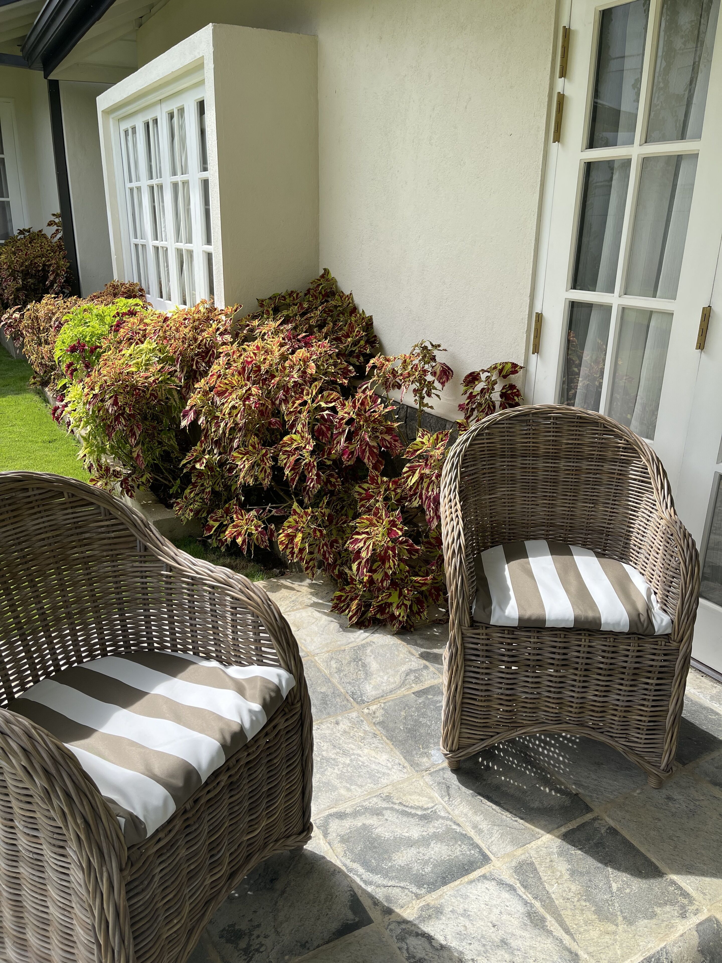 A patio area with two wicker chairs and a small garden with variegated foliage.