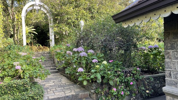 A garden pathway leading to a white archway, surrounded by lush greenery and flowering plants. - The Blossoms (Diyathalawa)