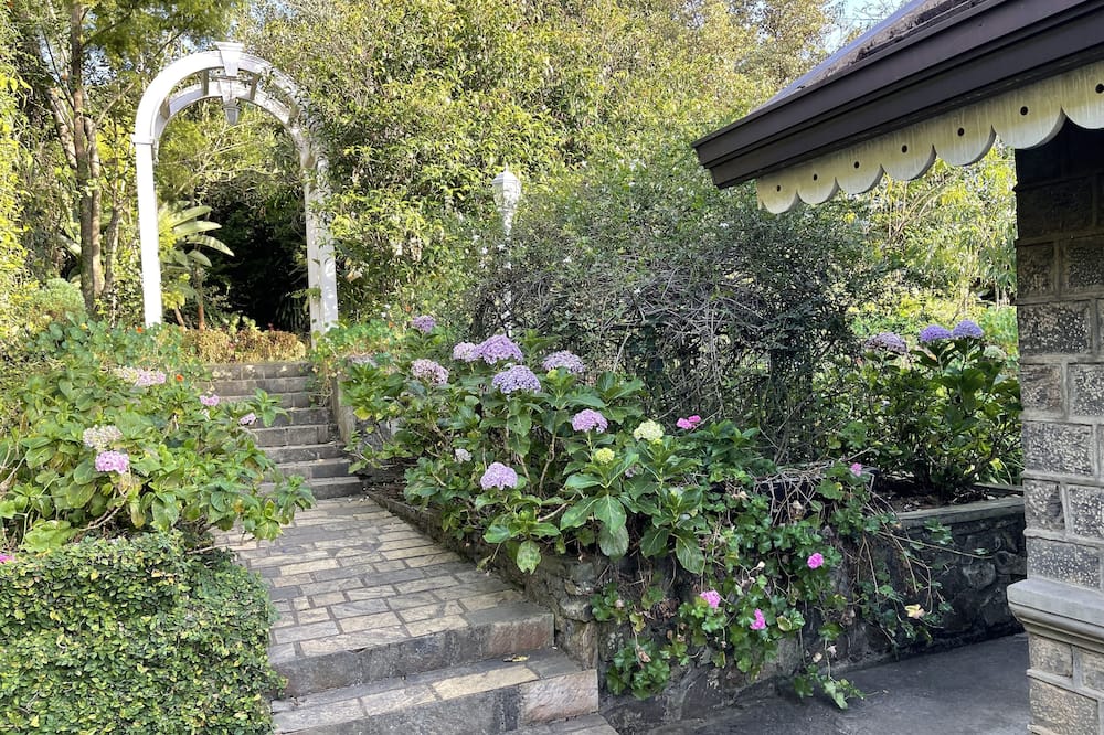 The Blossoms