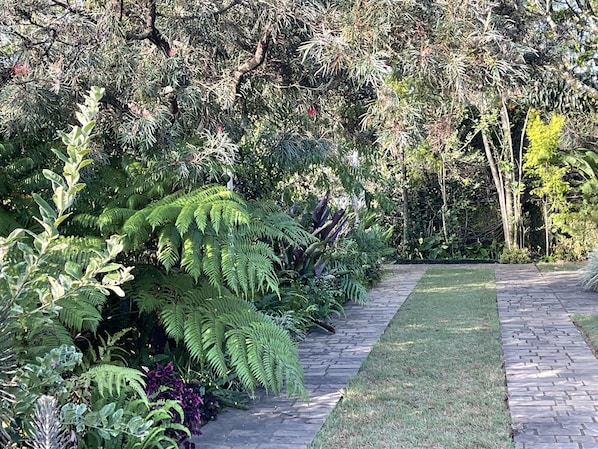 Classic Room, 1 Bedroom | Garden view