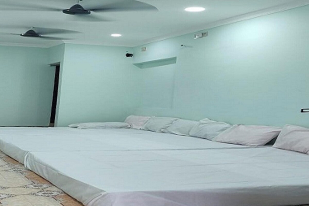 A bedroom with a large bed, two ceiling fans, and a patterned rug.