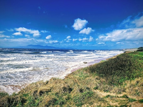 A coastal landscape with a beach, grassy dunes, and a clear blue sky.