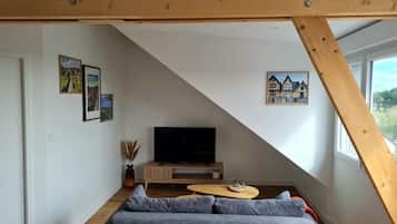 Flat-screen TV
