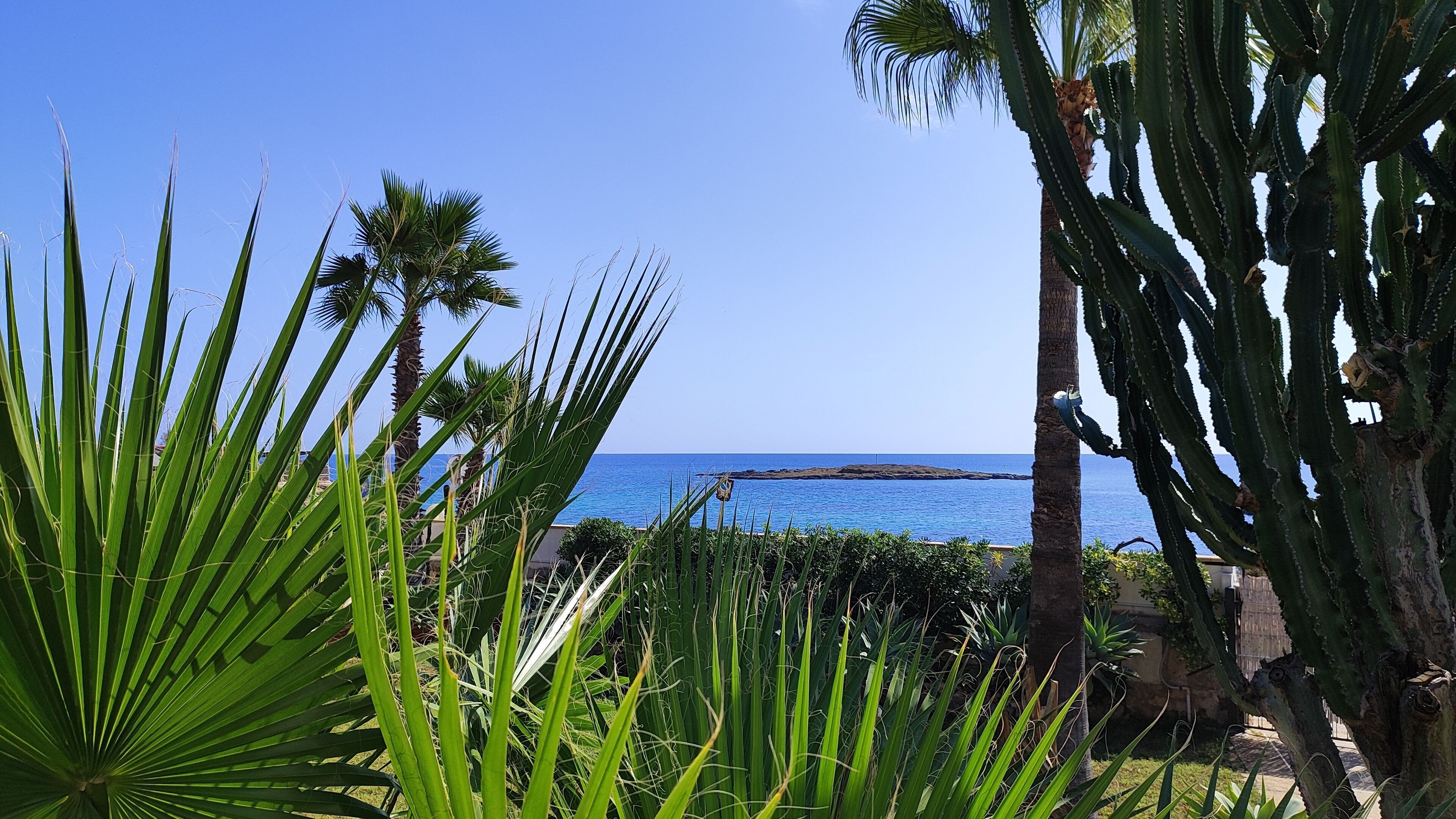 Área da propriedade