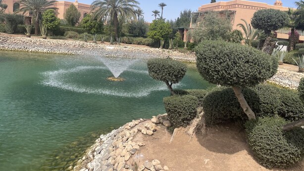 A landscaped area with a water feature, palm trees, and a building with traditional architecture. - Au Riad De La Palmeraie - Marrakech  (Marrakech)