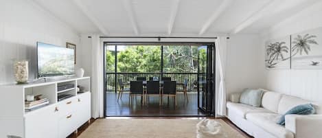 Smart TV, DVD player, books, video library