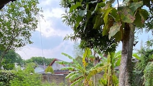 Un jardín exuberante con una variedad de plantas y árboles, entre ellos bananeros.