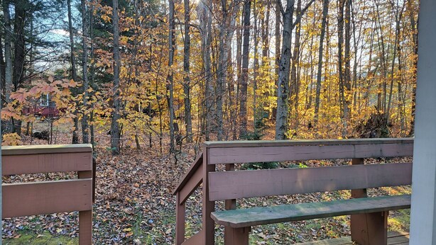 Un banc en bois situé dans une zone boisée, parsemée de feuilles d’automne.