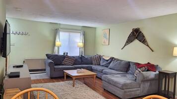 Télévision, lecteur de DVD, chaîne hi-fi