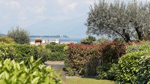 Un jardín con diversas plantas y una vista a un cuerpo de agua y montañas al fondo.