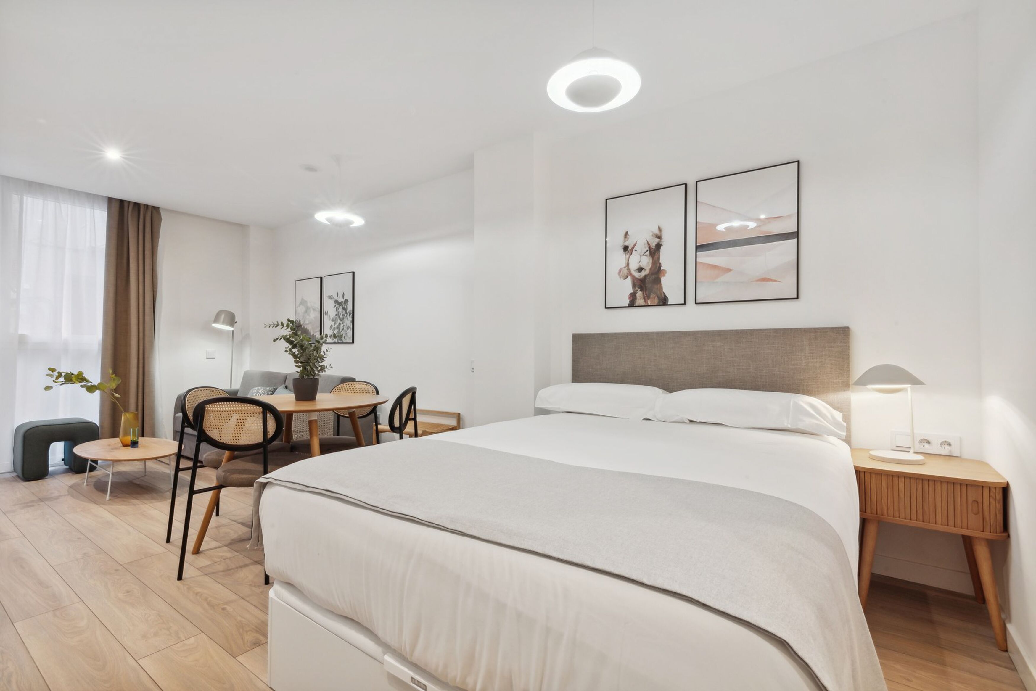 A modern hotel room with a large bed, a desk with a chair, a small table with a plant, and a nightstand with a lamp.