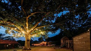 A large tree with string lights, a wooden building labeled "SUFFOLK YURT HOLIDAYS", and a small structure with a slide.