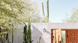 A patio with two striped lounge chairs, a cactus wall, and a wooden door. - Encanto Saguaro | Chic Adobe Home w/ Private Courtyard on 1.5 Acres (Cave Creek)