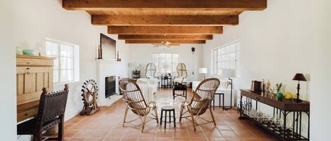 TV, fireplace, books