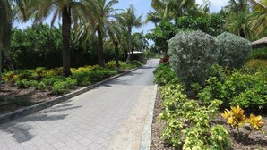 A paved pathway lined with palm trees and various shrubs, leading to a building with a thatched roof. - Family friendly condo located in Pineapple Village. (St Thomas)