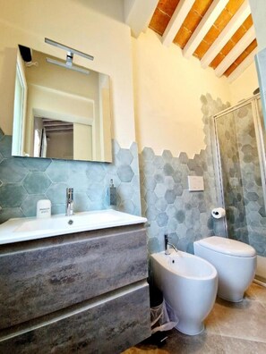 Shower, hair dryer, bidet, towels