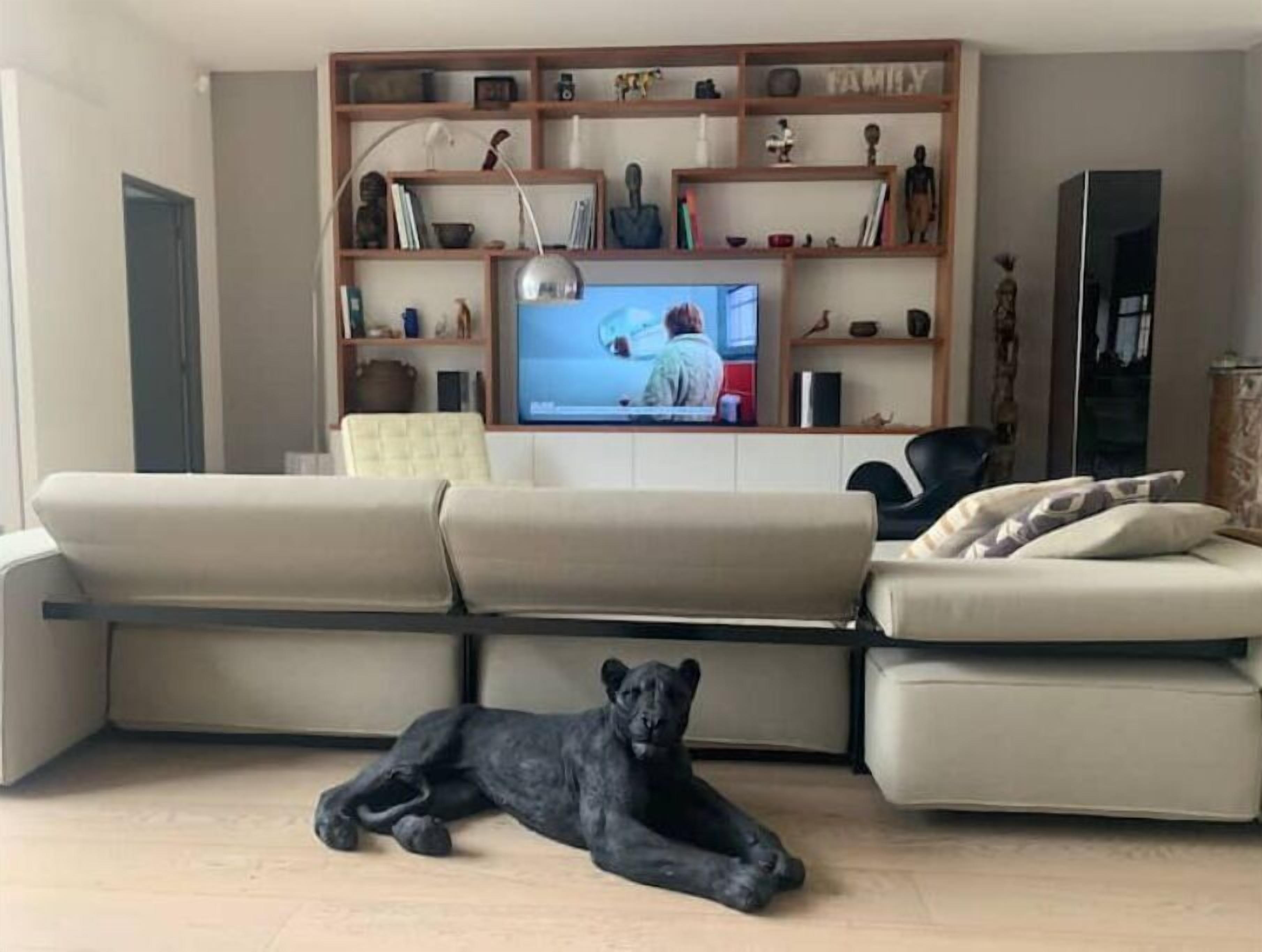 Una sala de estar con un sofá, un perro negro acostado en el suelo y un televisor sobre una repisa de madera.