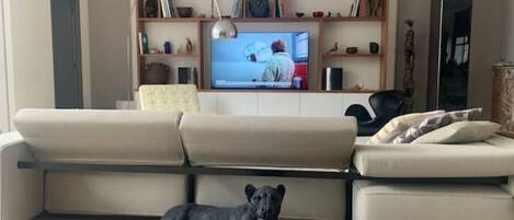Una sala de estar con un sofá, un perro negro acostado en el suelo y un televisor sobre una repisa de madera.