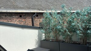 Uklassifisert bilde, 4 av 47, knapp