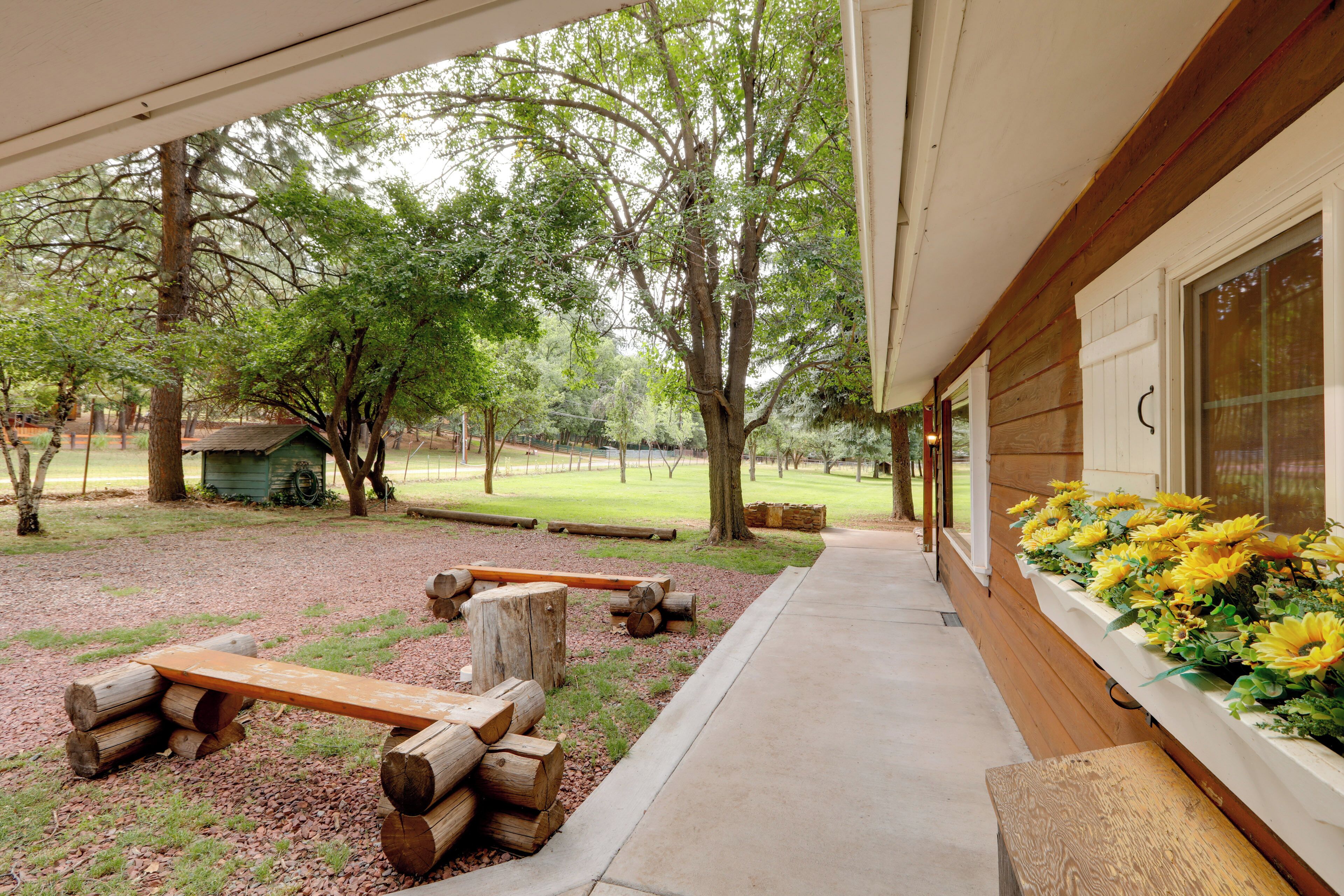 A covered porch with a wooden bench, a flower planter with yellow flowers, and a view of a grassy park area with trees.