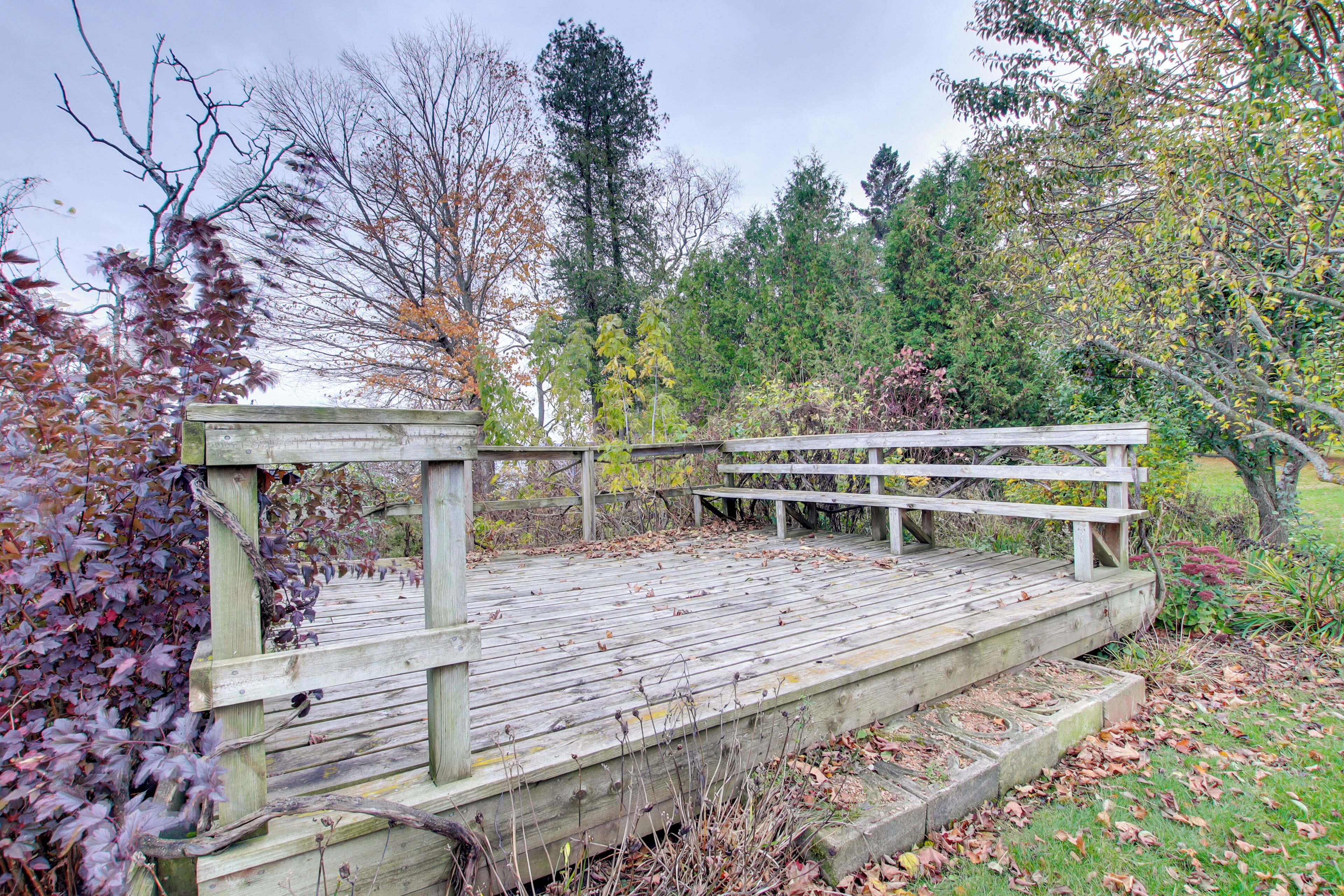 A wooden deck with benches, surrounded by trees and foliage.