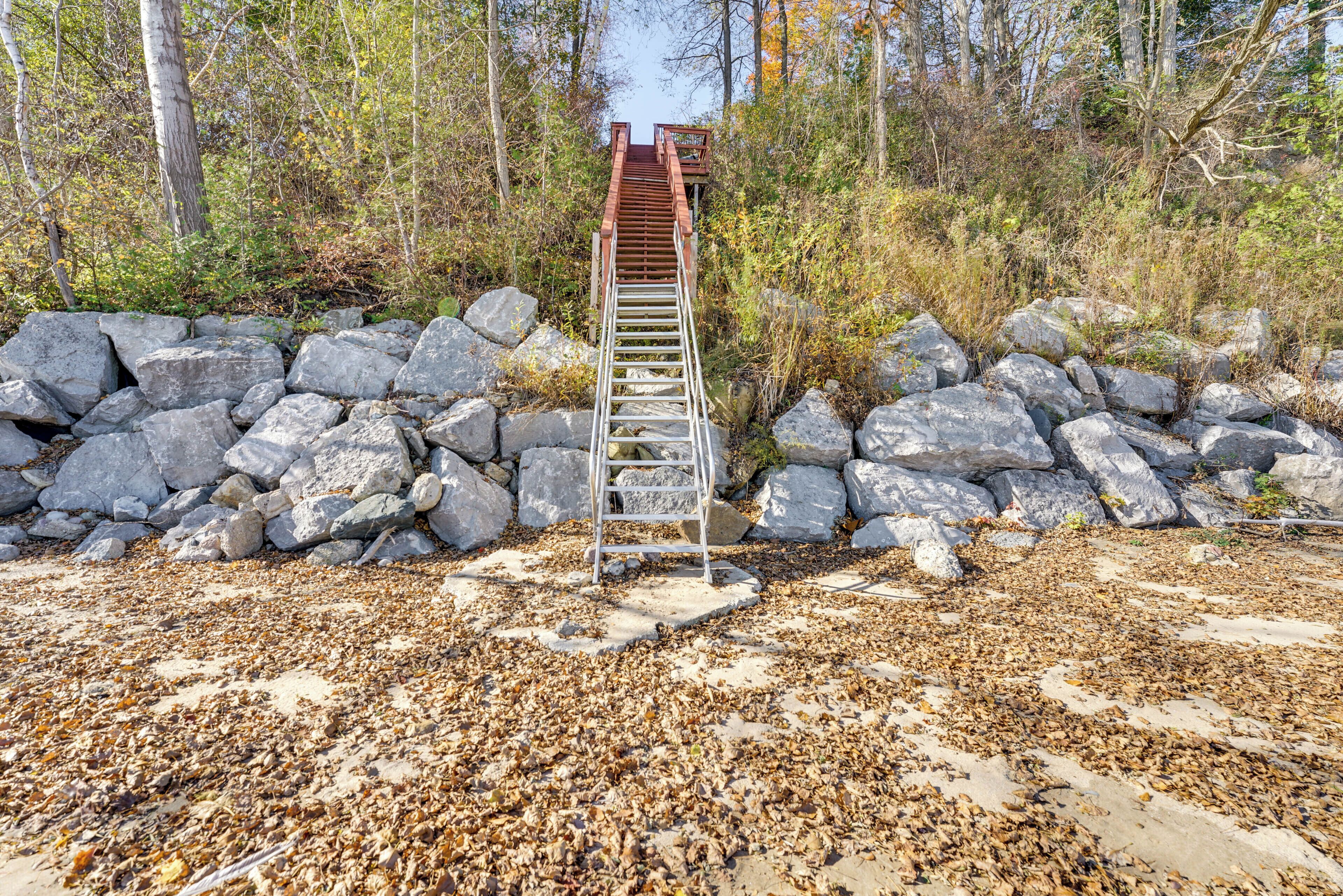 A wooden ladder leading up a rocky path surrounded by trees and fallen leaves.