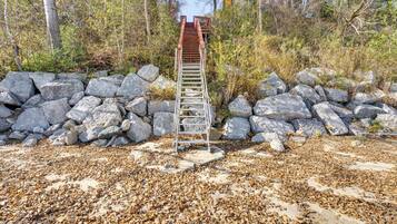 A wooden ladder leading up a rocky path surrounded by trees and fallen leaves.