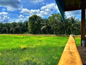 A view of a lush green field with a wooden bench, palm trees, and a clear blue sky.