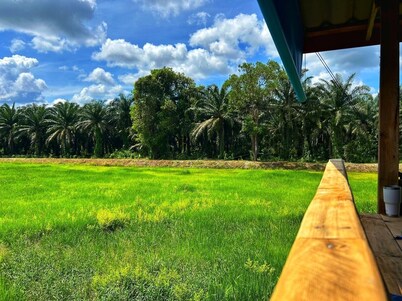 Baanmae Resort Thachana Suratthani