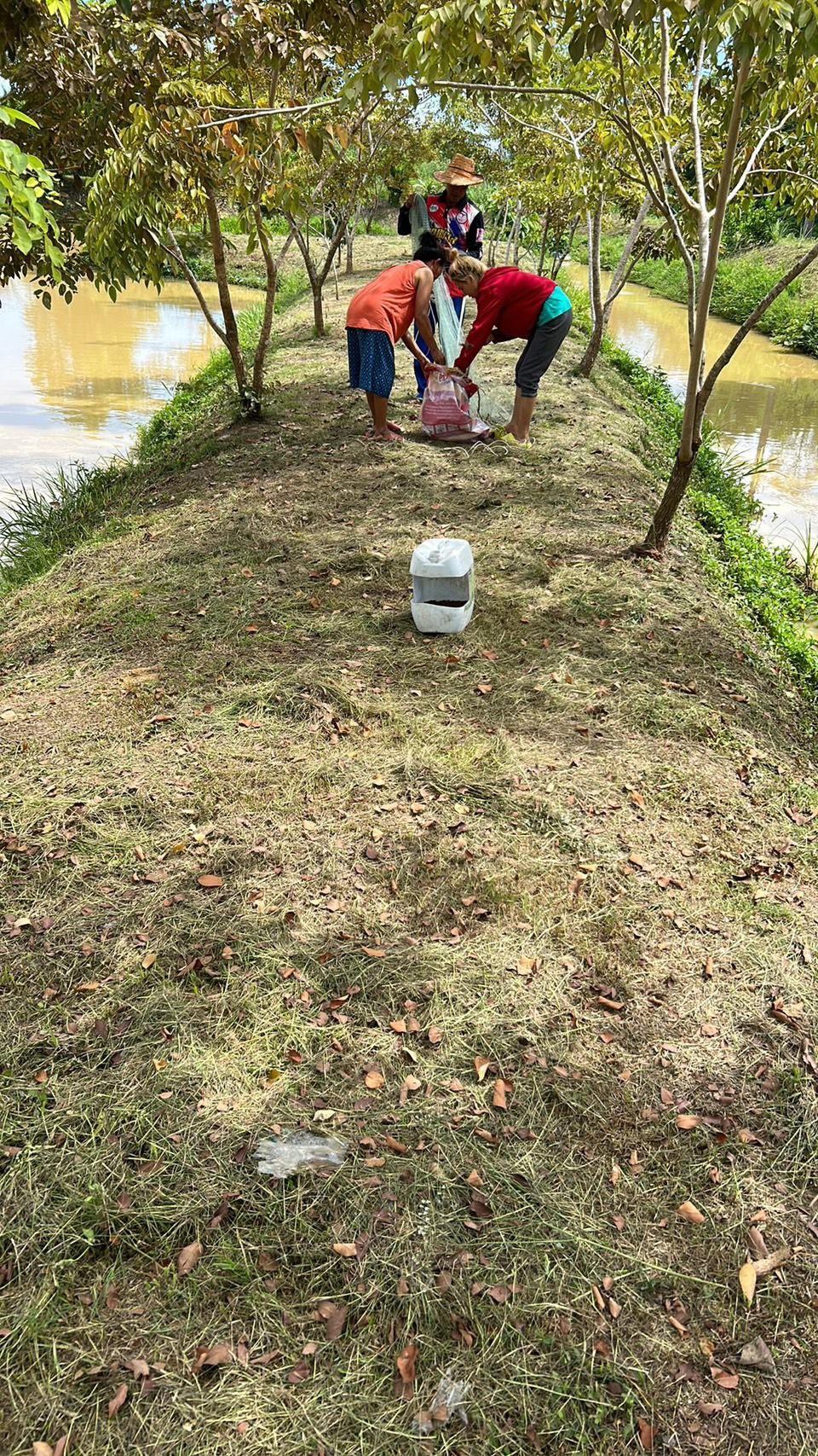 Un grupo de personas reunidas alrededor de un contenedor blanco en una zona verde cerca del agua, con árboles al fondo.
