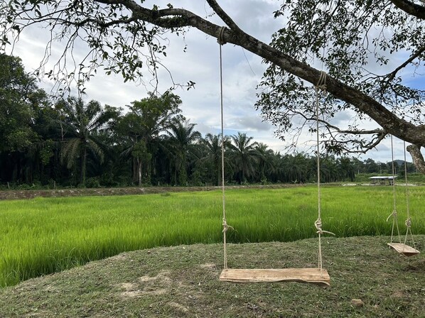 A swing set in a lush green field with a tree overhead.