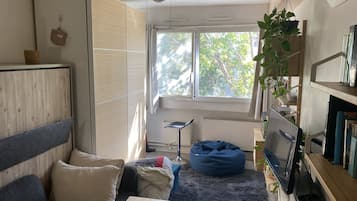 TV, video games, DVD player, music library