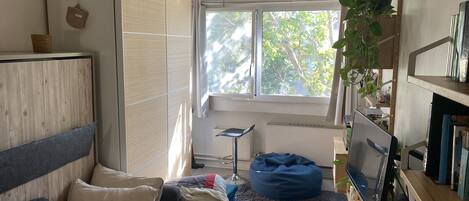 TV, video games, DVD player, music library