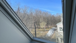 A skylight window with a view of a leafless tree line and a house.