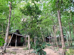 Una estructura de madera rústica rodeada de un bosque denso.