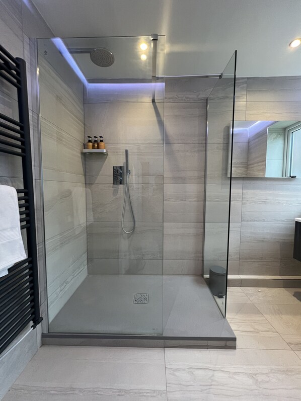 Regadera, secadora de cabello, bidet, toallas 