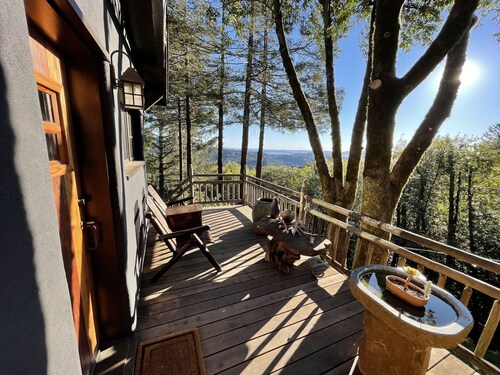 Secluded In Town Cabin in the Woods