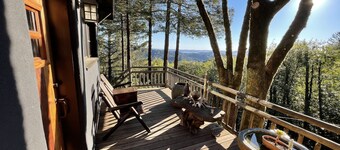 Secluded In Town Cabin in the Woods