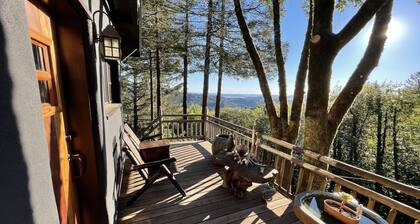 Secluded In Town Cabin in the Woods