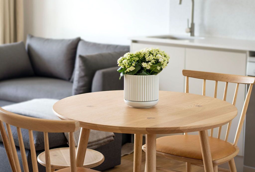 A round wooden table with a white vase containing white flowers, surrounded by wooden chairs.