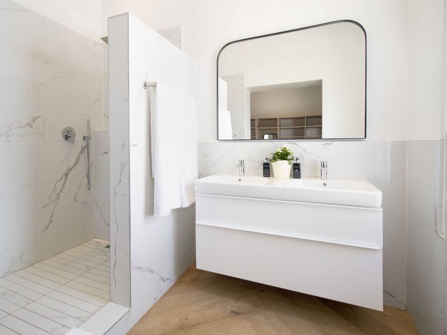 Une salle de bain avec une douche, un lavabo avec un miroir et une plante en pot.