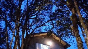 A small wooden cabin surrounded by trees at dusk. - O Chale Encantado (Rancho Queimado)