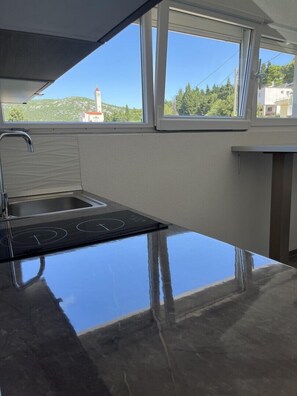 Fridge, stovetop, cookware/dishes/utensils