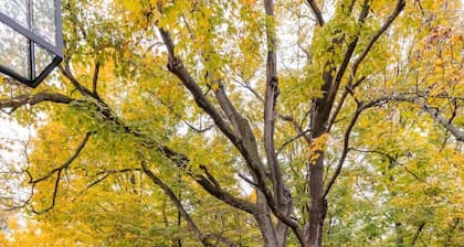 Hot Tub, CVNP, Private Waterfall Trail, Firepit