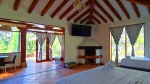 A bedroom with a bed, a TV, a fireplace, and a balcony with curtains.